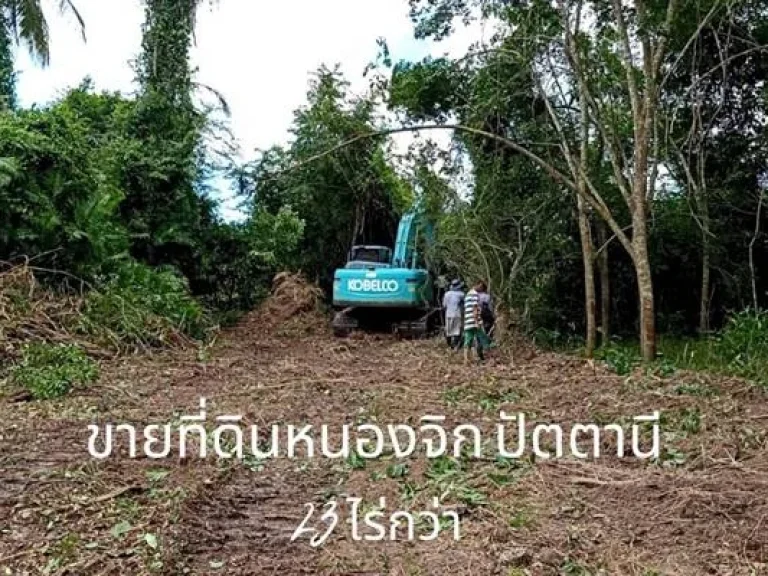 ที่ดิน ราคาถูก ติดถนนใหญ่เพชรเกษม สาย 43 หาดใหญ่ ปัตตานี เดินทางสะดวก