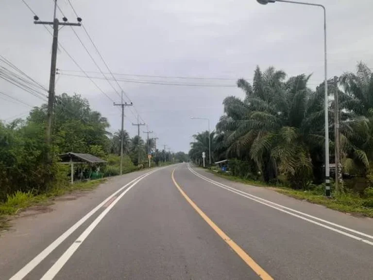 ขายที่ดินเปล่าติดถนนใกล้หาดบ่อเมา ตำบล ชุมโค อำเภอปะทิว ชุมพร