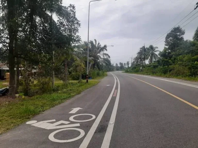 ขายที่ดินเปล่าติดถนนใกล้หาดบ่อเมา ตำบล ชุมโค อำเภอปะทิว ชุมพร