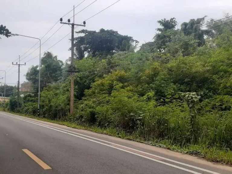 ขายที่ดินเปล่าติดถนนใกล้หาดบ่อเมา ตำบล ชุมโค อำเภอปะทิว ชุมพร