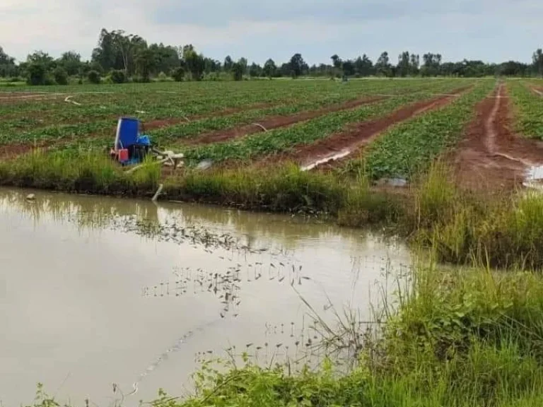 ที่ดินสำหรับเกษตรกรรม ปศุสัตว์ โฉนด ติดทางสาธารณะ มีแหล่งน้ำ เพชรบูรณ์