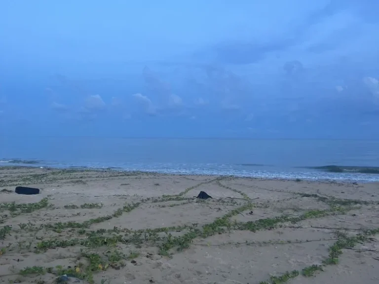 ขายที่ดินติดทะเล หาดส่วนตัว ทะเลบ่อนอก อำเภอกุยบุรี จังหวัดประจวบคีรีขันธ์