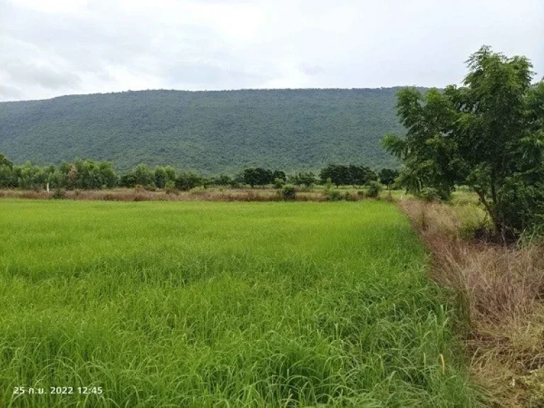 ขายที่ดิน 3 ไร่ ติดวิวเขาตะเภาทอง ตเพนียด อโคกสำโรง จลพบุรี