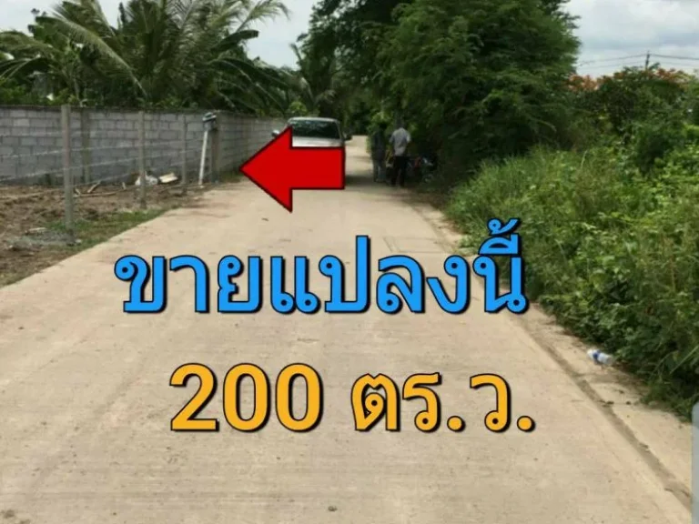 ขายที่ดินถมแล้ว 200 ตารางวา ติดถนนคอนกรีต ตำบล ขุนศรี อำเภอ ไทรน้อย นนทบุรี