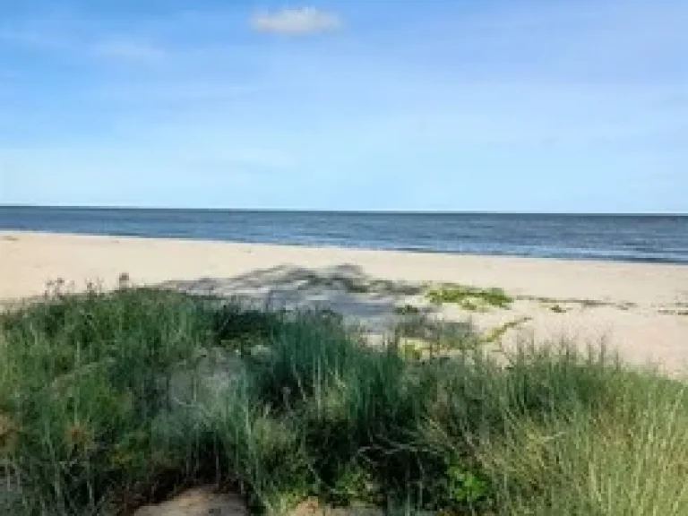 ขายที่ดินติดทะเลหาดกุยบุรี ขายด่วนที่ติดทะเลสวย หาดทรายขาวสะอาด สงบ เหมาะสำหรับสร้างบ้านพักส่วนตัว สามารถสร้างบ้านได้ 2 ชั้นตามกฏหมายกำหนด