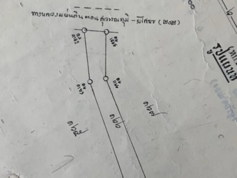 ขายที่ดิน ติดถนนหลวงแผ่นดิน 202 เส้นยโสธร สุวรรณภูมิ