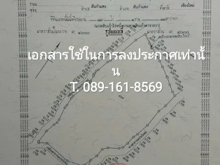 ขายที่ดินเปล่า ตำบลแม่ยางตาล อำเภอร้องกวาง จังหวัดแพร่