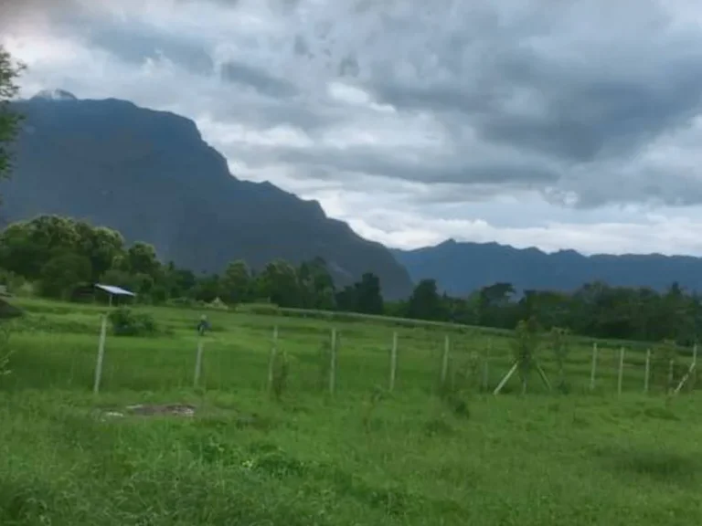 ขายที่ดินติดวิวภูเขา วิวดอยหลวง เชียงดาว เชียงใหม่