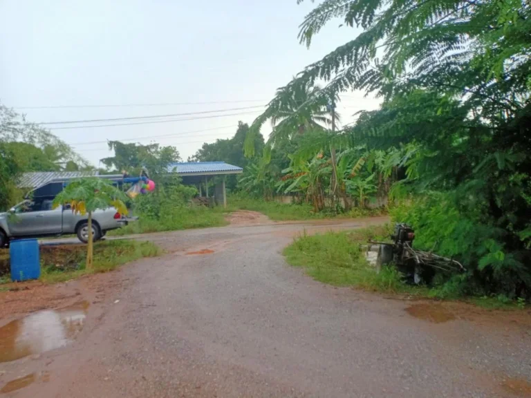 ขายที่ดินสวยพร้อมบ้านไม้พร้อมอยู่พิกัดบ้านนาน้อยอพนมสารคาม