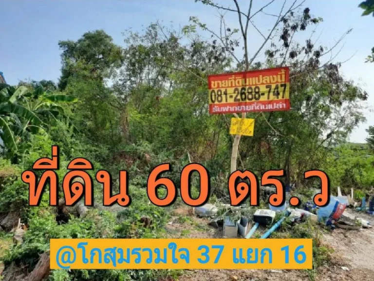 ขายที่ดินดอนเมือง 60 ตารางวา ซอย โกสุมรวมใจ 37 แยก 16 เขต ดอนเมืองกรุงเทพมหานคร