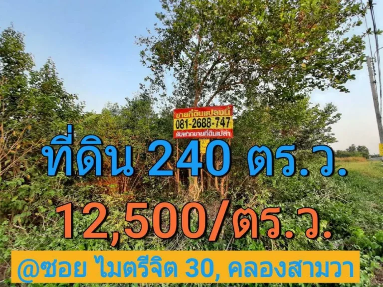 ขายที่ดินคลองสามวา 240 ตารางวา ซอยไมตรีจิต 30 เขต คลองสามวากรุงเทพมหานคร