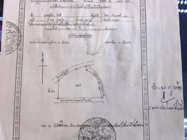 ขายสวนยางพารา และสวนปาล์ม จระนอง เจ้าของขายเอง