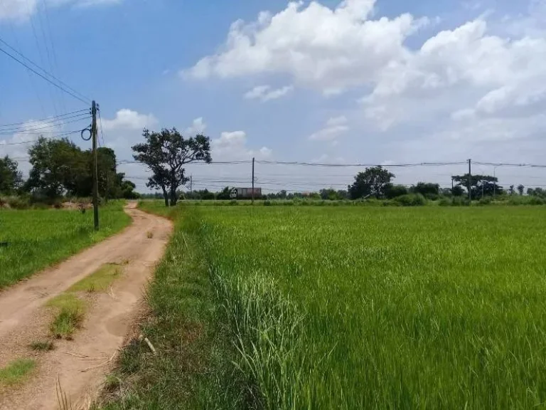 ที่ดินสวย ติดถนนแจ้งสนิท ตำบลขวาว อำเภอเสลภูมิ จังหวัดร้อยเอ็ด