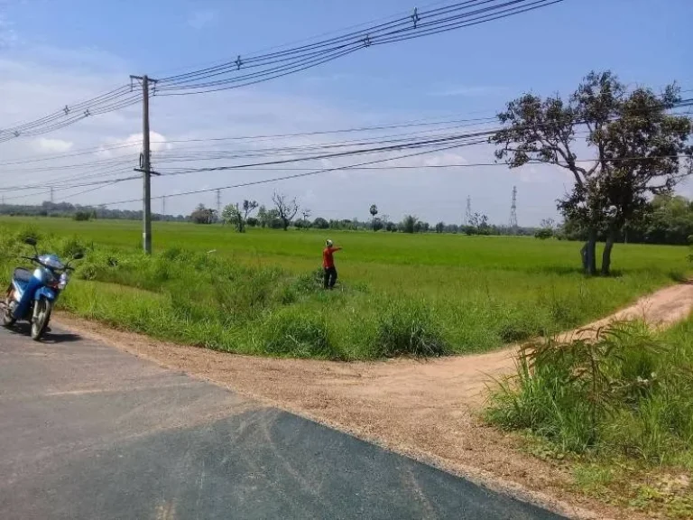 ที่ดินสวย ติดถนนแจ้งสนิท ตำบลขวาว อำเภอเสลภูมิ จังหวัดร้อยเอ็ด