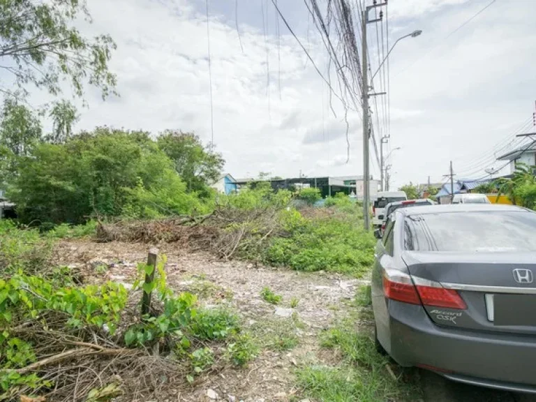 ขาย ที่ดิน ถมแล้ว ซเพชรเกษม 81 ติดถนนคอนกรีต 2 ด้าน แปลงสวย