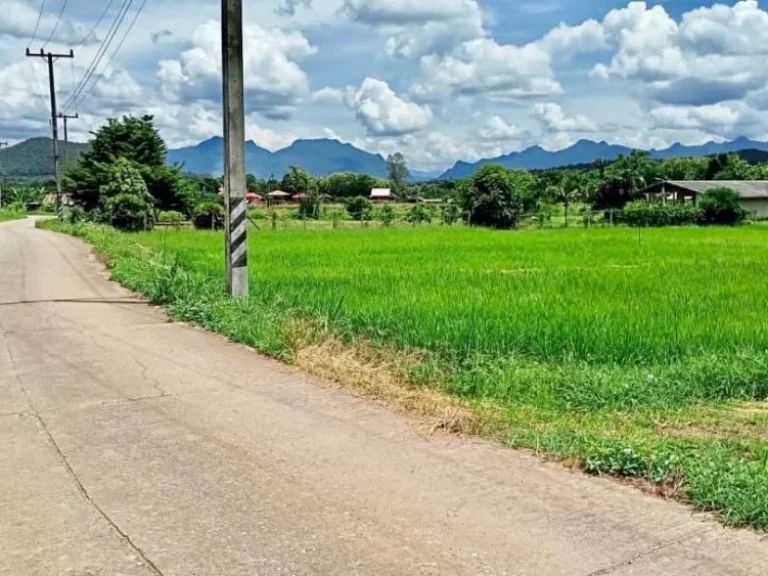 ขายที่ดิน ทุ่งนา วิวดอยหลวงเชียงดาว วิวดอยนางเชียงดาว จเชียงใหม่