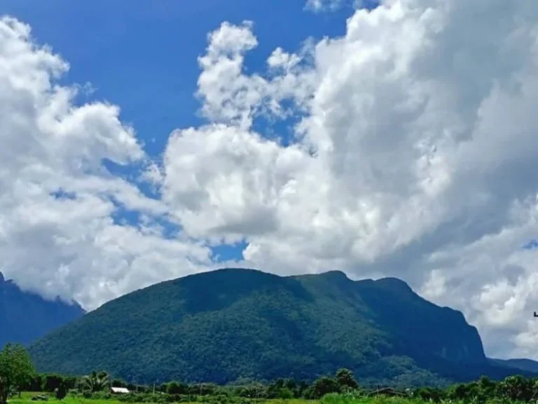 ขายที่ดิน ทุ่งนา วิวดอยหลวงเชียงดาว วิวดอยนางเชียงดาว จเชียงใหม่