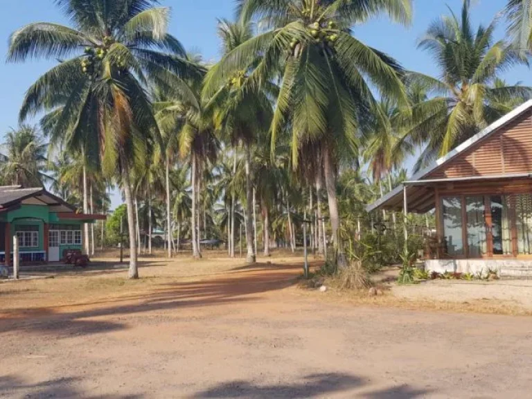 ขายที่โฉนด 10ไร่ ริมหาดสวย หน้าหาดกว้าง อละแม จชุมพร