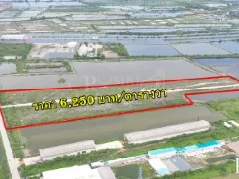 ที่แปลงใหญ่ 104 ไร่ ถมแน่นใช้งานได้ทันที เทรลเลอร์ลุยสบาย ติดถนนคอนกรีตกว้าง 12 ม