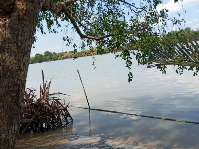 ขายที่ดินติดแม่น้ำบางปะกง 3 ไร่ อบ้านโพธิ์ ถูกที่สุดใน จฉะเชิงเทรา