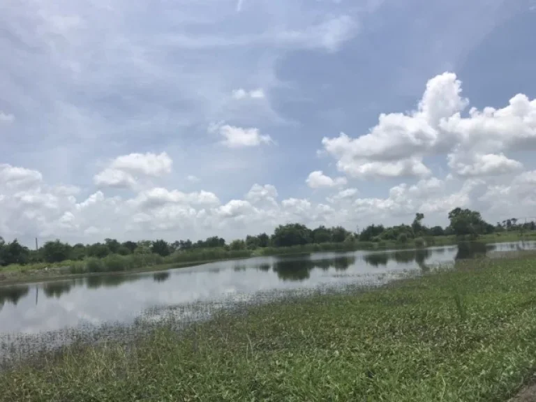 ขายที่ดินติดเลควิวสวย บรรยากาศสนามกอล์ฟ สุวินทวงศ์96 หนองจอก