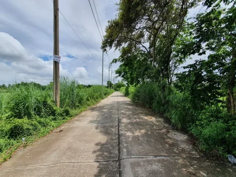 ขาย ที่ดิน ซอยสุวินทวงศ์ 110 ถนนสุวินทวงศ์ เขตหนองจอก กรุงเทพมหานคร