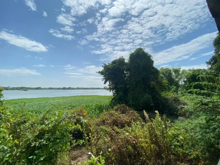 ขายที่ดินติดริมแม่น้ำเจ้าพระยา ซอยวัดโบสถ์ ตสามโคก อบางกระบือ จปทุมธานี