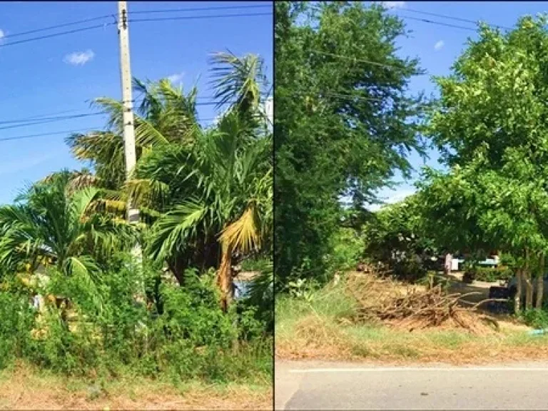 ขายที่ดินเนื้อที่ 4 ไร่ ทางเข้าวัดโรงเรียนวัดปทุมทองสุทธาราม สุพรรณบุรี