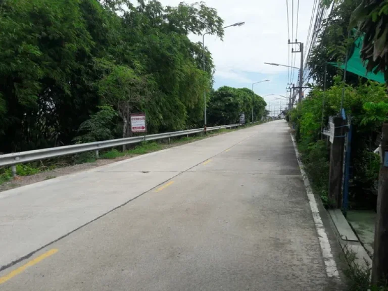 ขาย ที่ดิน ซอยคลองบางโพธิ์เหนือ ถนน346 อเมืองปทุมธานี จปทุมธานี