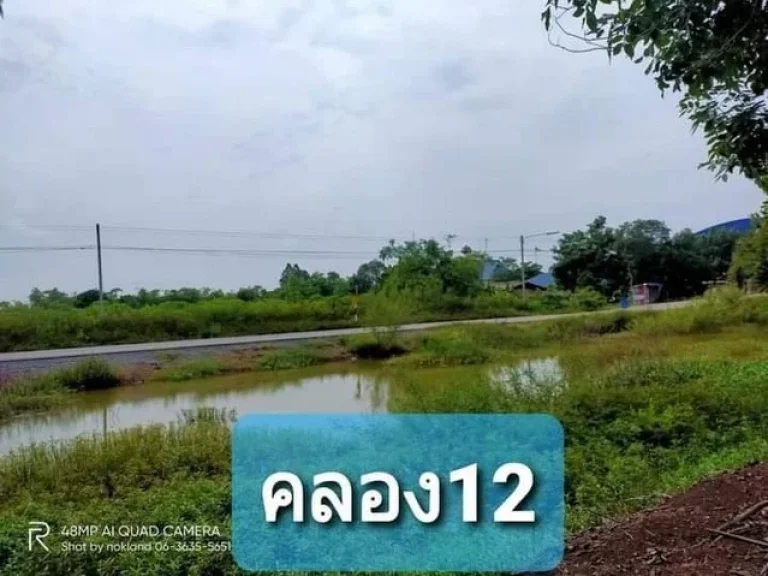 แบ่งขาย ที่ดินคลอง 12 หนองเสือตะวันตก ตรงข้าม อบตนพรัตน์ ปทุมธานี มีหลายแปลง