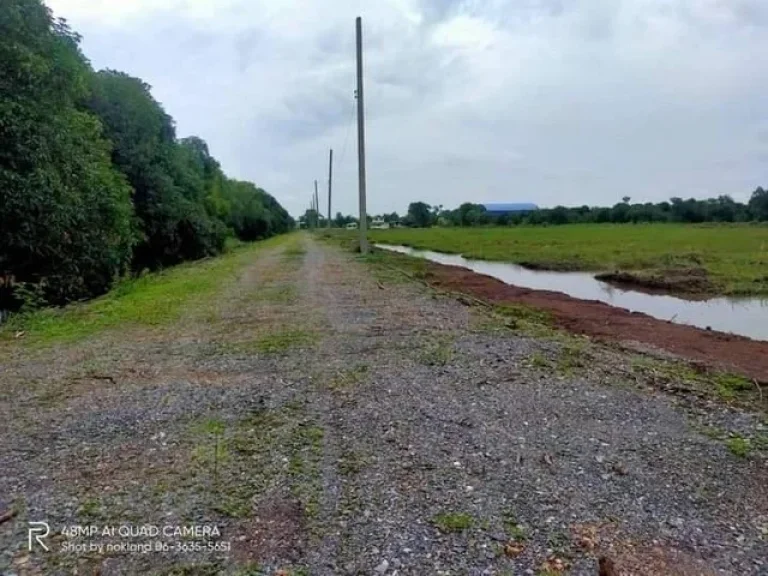 แบ่งขาย ที่ดินคลอง 12 หนองเสือตะวันตก ตรงข้าม อบตนพรัตน์ ปทุมธานี มีหลายแปลง