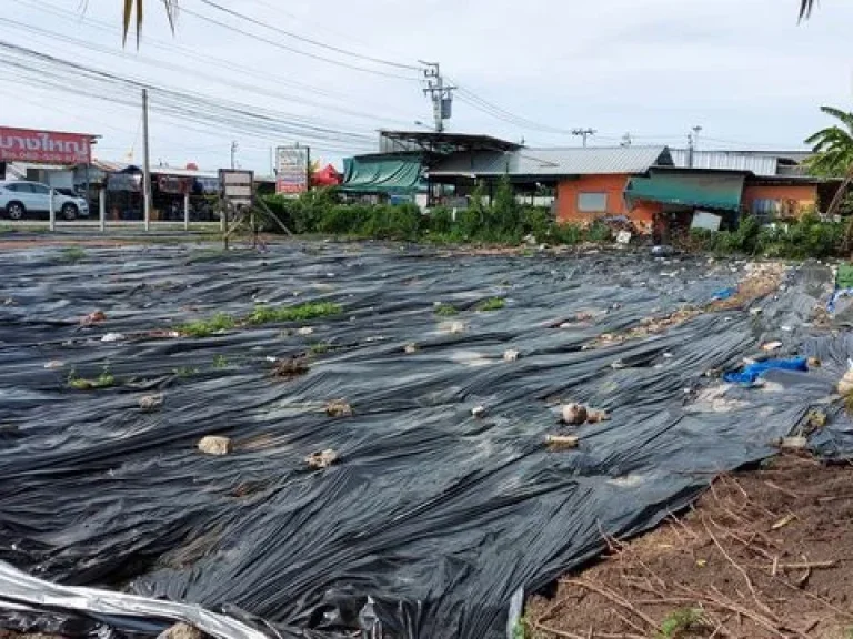 ที่ดินเปล่าถมแล้ว 200 ตรว ตลาดบางใหญ่ ตรงข้ามเซ็นทรัลเวสเกต