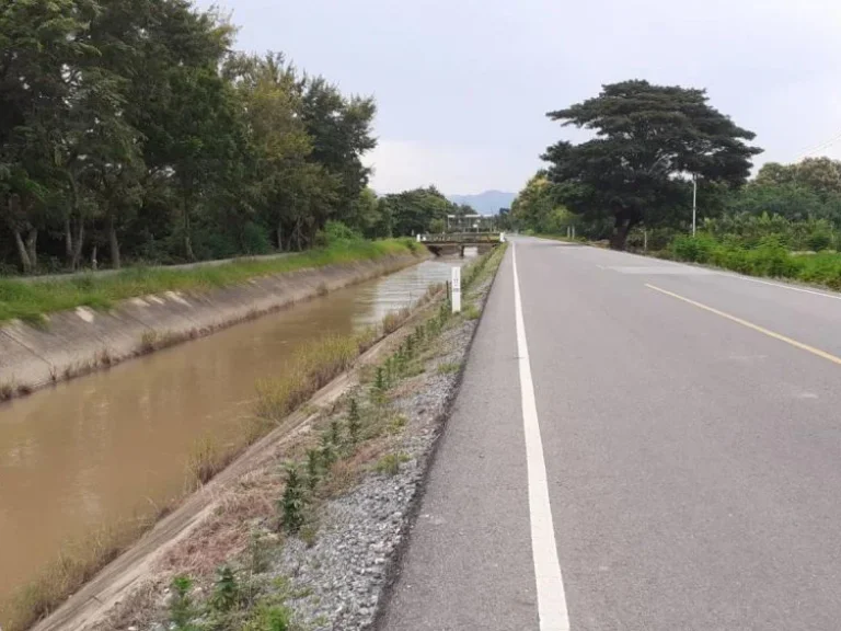 ขายที่ดินร้องวัวแดง สันกำแพง ติดถนนค้าขายได้