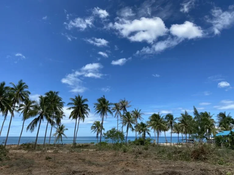 ขายที่ดิน 14 ไร่ ติดทะเล หาดแหลมกุ่ม ตนาหูกวาง อทับสะแก จประจวบ