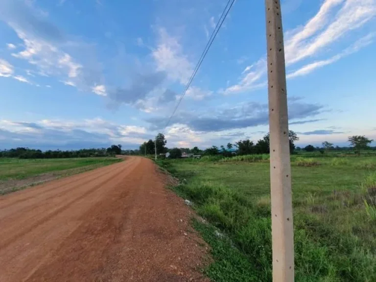 ขายที่ดินเปล่าแปลงสวย ที่ดินติดถนนสาธารณประโยชน์กว้าง 6 เมตร ถนนลาดยางในอนาคต บรรยากาศดี ชัยนาท