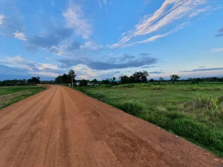 ขายที่ดินเปล่าแปลงสวย ที่ดินติดถนนสาธารณประโยชน์กว้าง 6 เมตร ถนนลาดยางในอนาคต บรรยากาศดี ชัยนาท