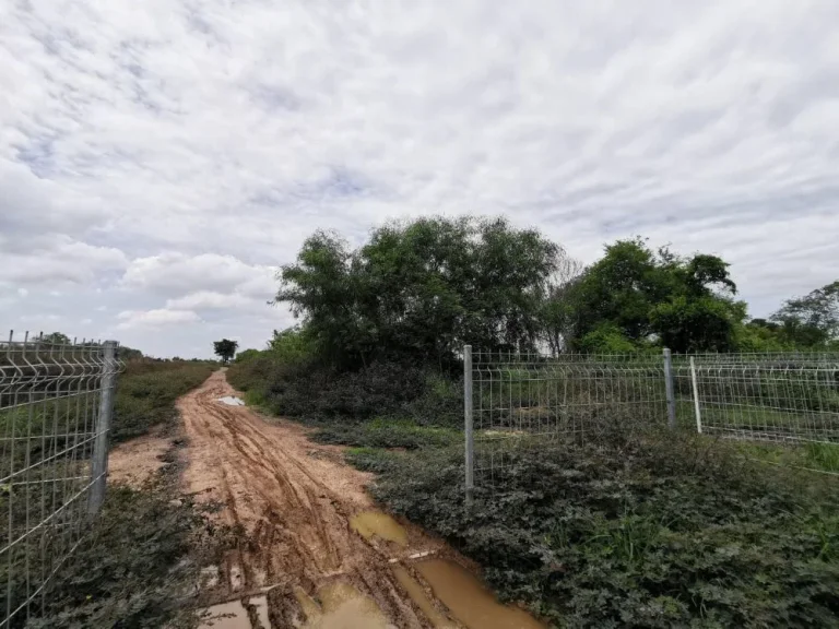 ขายที่ดินในตัวเมืองโคราช