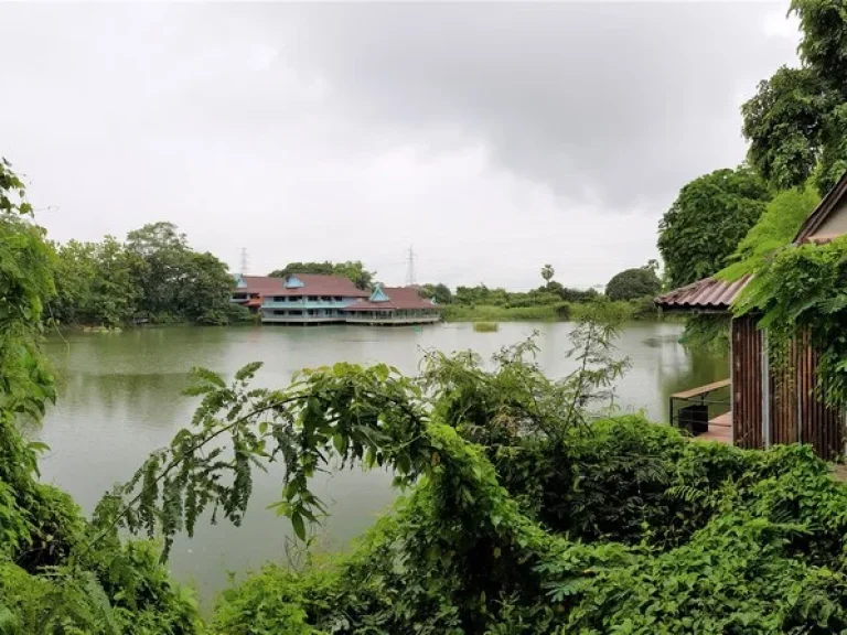 ขาย ที่ดิน 33 ไร่ แปลงสวย ทำเลดี ในเมืองพิษณุโลก ใกล้เซ็นทรัล