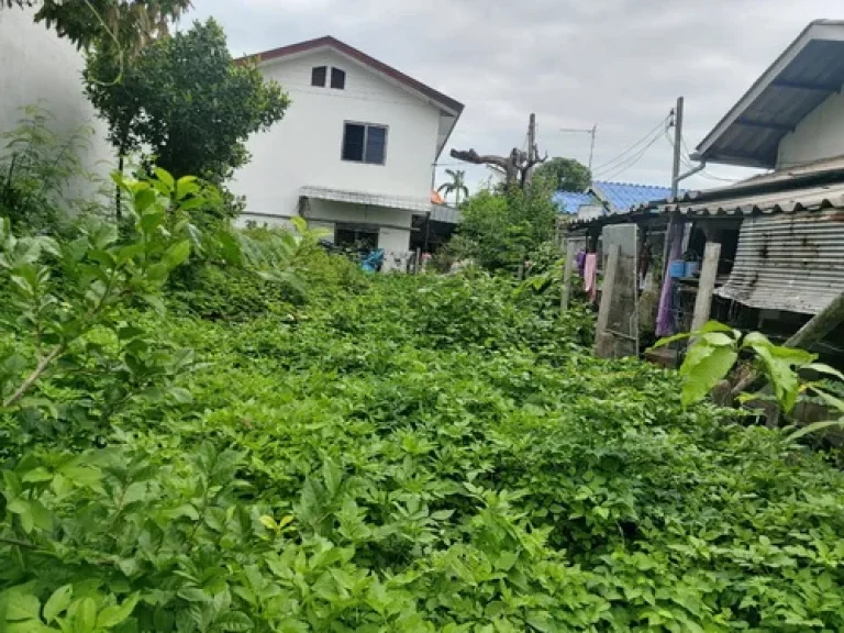 ขายที่ดิน 35 ตรว ทำเลดี ตำบลสุเทพ อำเภอเมือง จังหวัดเชียงใหม่