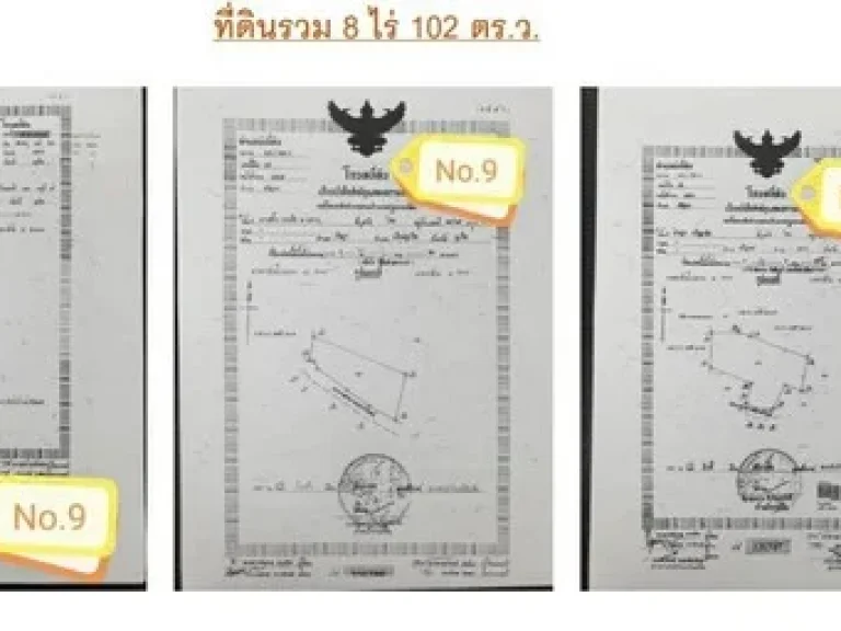 ขายโรงงานถุงมือ อถลาง จภูเก็ต พท 8-1-2 ไร่ อุปกรณ์และใบอนุญาตพร้อม สามารถเริ่มกิจการได้เลย