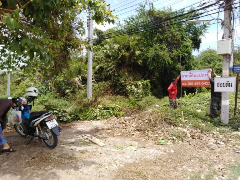 ขายที่ดินทำเลทอง ตำบลต้นมะม่วง อำเภอเมือง จังหวัดเพชรบุรี