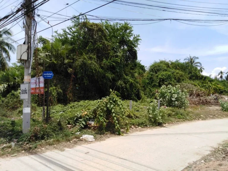 ขายที่ดินทำเลทอง ตำบลต้นมะม่วง อำเภอเมือง จังหวัดเพชรบุรี