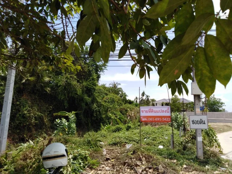 ขายที่ดินทำเลทอง ตำบลต้นมะม่วง อำเภอเมือง จังหวัดเพชรบุรี