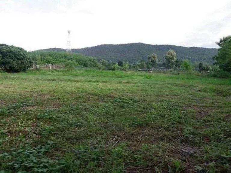 Land For Sale ที่ดิน 16 ไร่ สันกำแพง เชียงใหม่