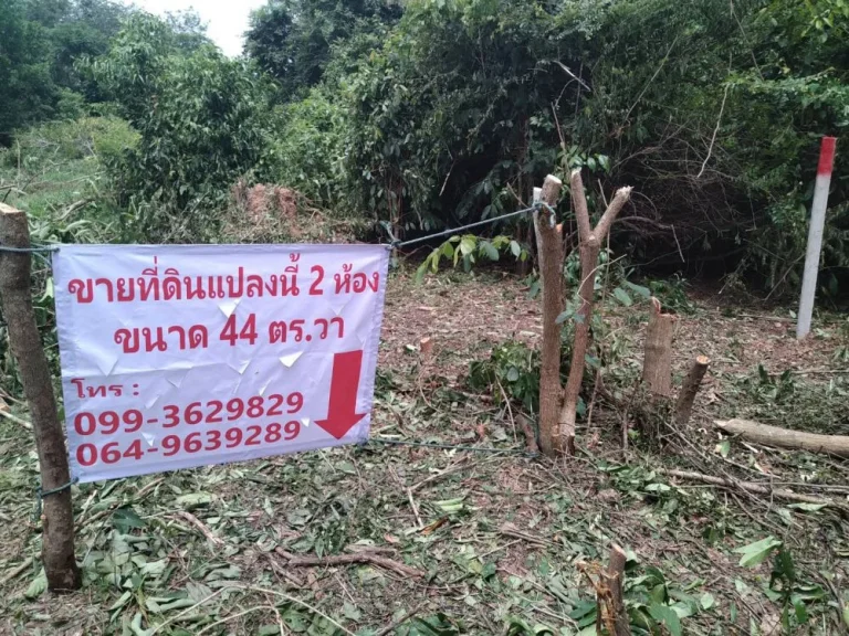 ขายที่ดินชุมแสง 4 บ้านพรุ หาดใหญ่ สงขลา