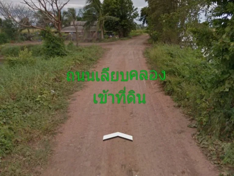 ขายที่ดินทำเลดี ไม่ไกลกรุงเทพ19-1-84ไร่ ตบ้านแป้ง อบางไทร จพระนครศรีอยุธยา