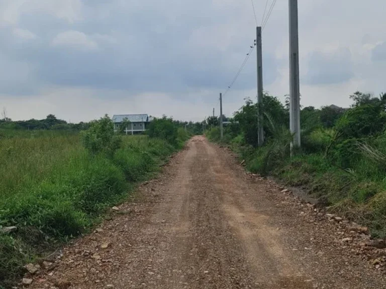 ขายที่ดินแปลงเล็ก ไทรน้อย-นนบุรี ผ่อนตรงกับโครงการได้ ฟรีดอกเบี้ย