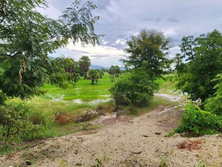 ที่ดิน2โฉนดติดกัน 7ไร่ 3งาน 34ตรว ธรรมชาติอากาศดี วิวสวยทุ่งนาป่าตาลภูเขา ใกล้ชุมชน หน้าติดถนนลาดยาง-ถนนซอยสาธารณะ