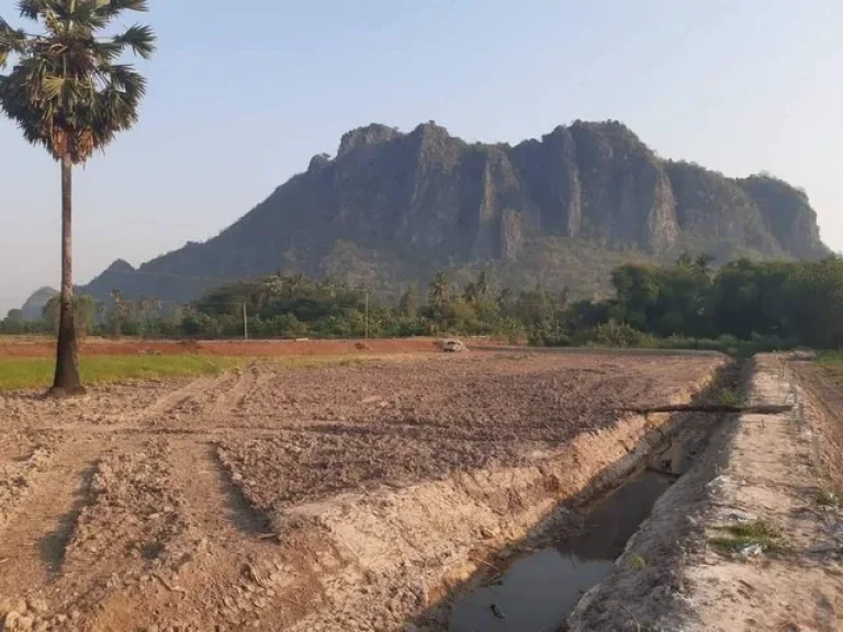 ขายที่ดินสวย ราคาถูก ทำเลทอง ติดสถานที่ท่องเที่ยว สวิตเซอร์แลนด์เมืองไทย หุบป่าตาด จอุทัยธานี