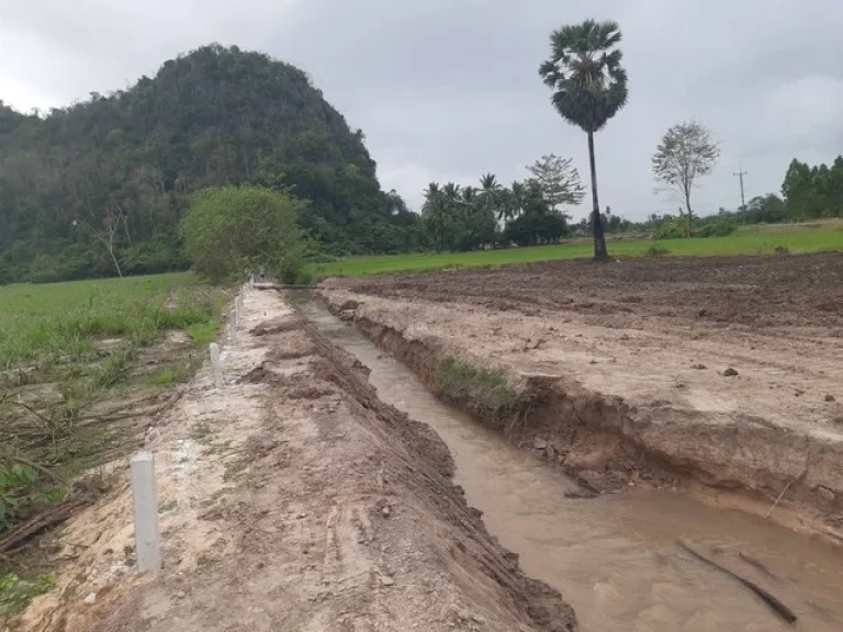 ขายที่ดินสวย ราคาถูก ทำเลทอง ติดสถานที่ท่องเที่ยว สวิตเซอร์แลนด์เมืองไทย หุบป่าตาด จอุทัยธานี